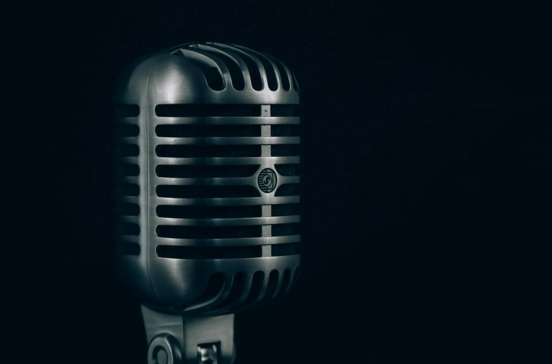 shallow focus photography of condenser microphone