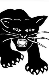 The Black Panther Party & Civil Rights Movement